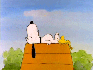 Snoopy in Hot Weather | Bohemian Glade